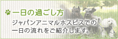 一日の過ごし方